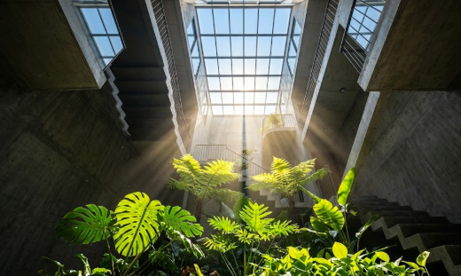 AKV-xaynhatrongoi-2026 (26)